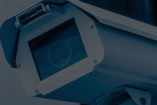 Application in security field